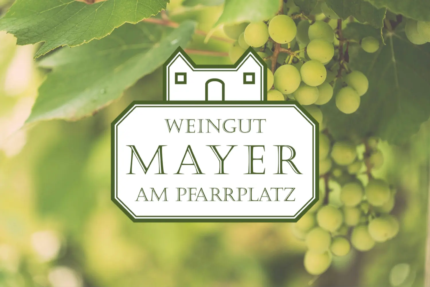 Markterei trifft Mayer am Pfarrplatz